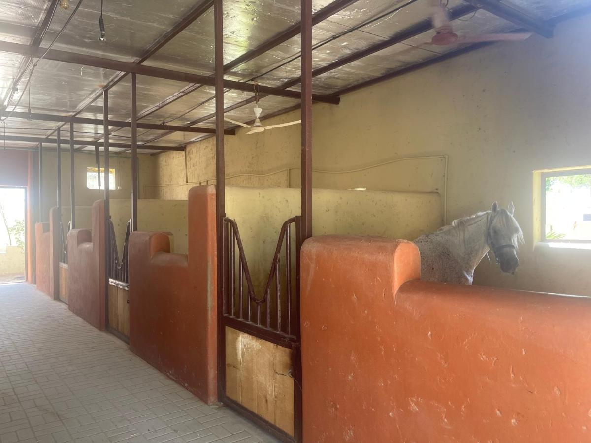 Al Bait Resort With Private Swimming Pools -Hrs Stables Al Hamraniyah Exterior photo